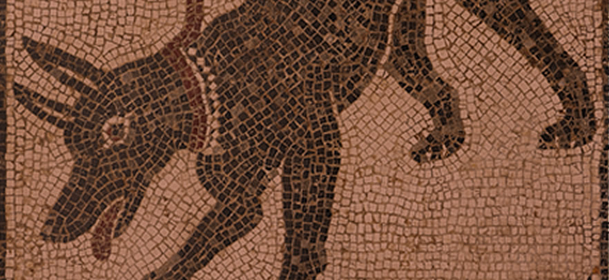 Pompeii mosaic